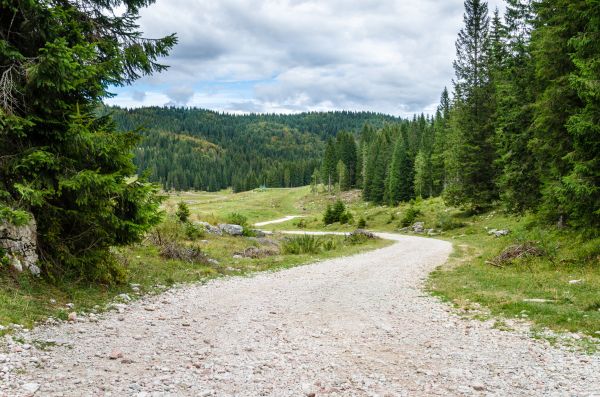 Gravel Road Grading in Blaine