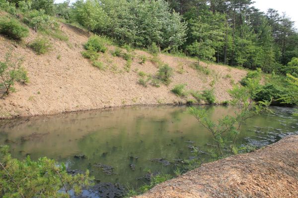 Pond Erosion Repair in Blaine