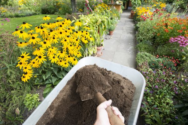 Topsoil Installation in Blaine