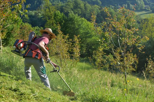 Cost of Slope Trimming in Blaine